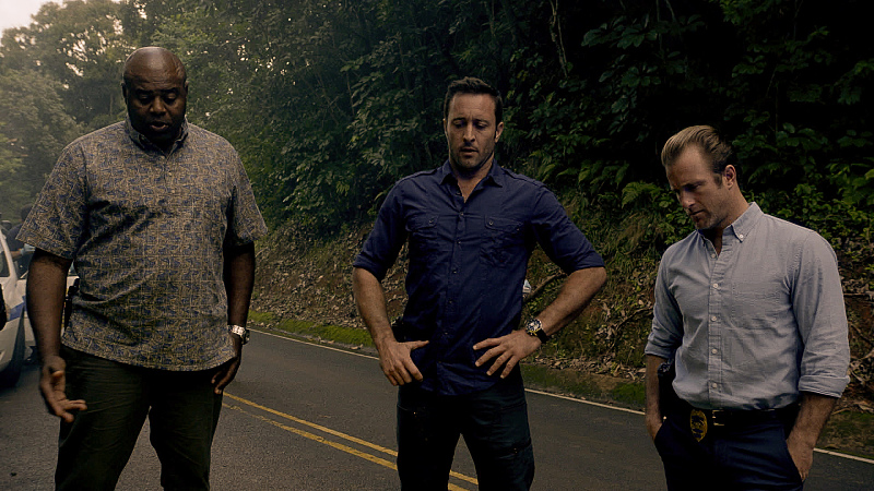Hawaii Five-0 Season 5 Finale