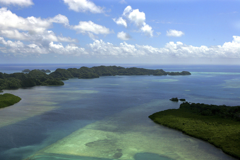 Survivor: Palau