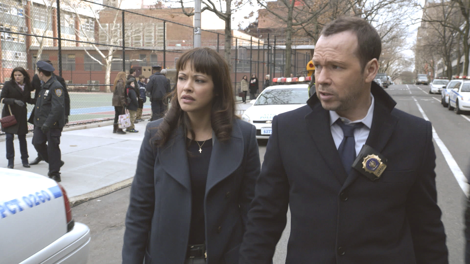 Blue Bloods Cast Nude