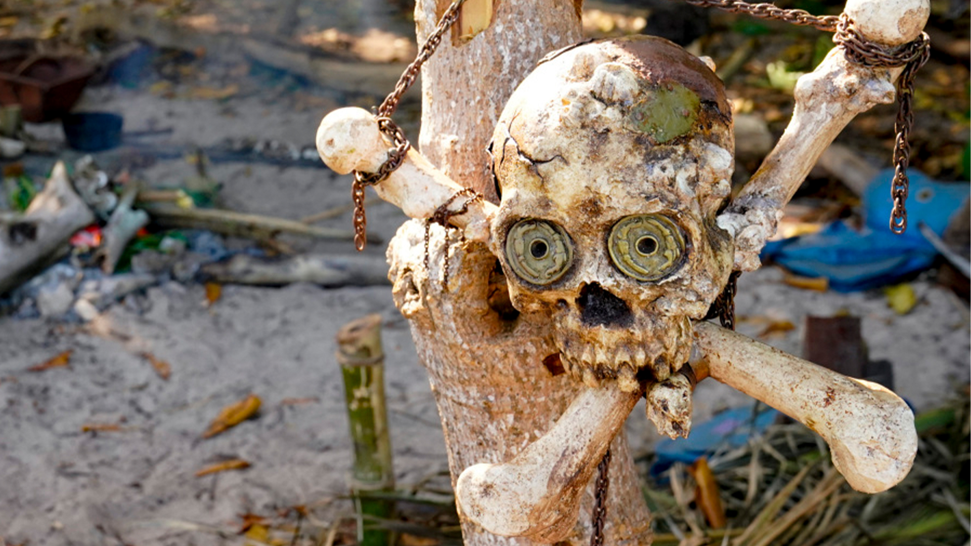 Survivor Quiz Name The Season By The Immunity Idol