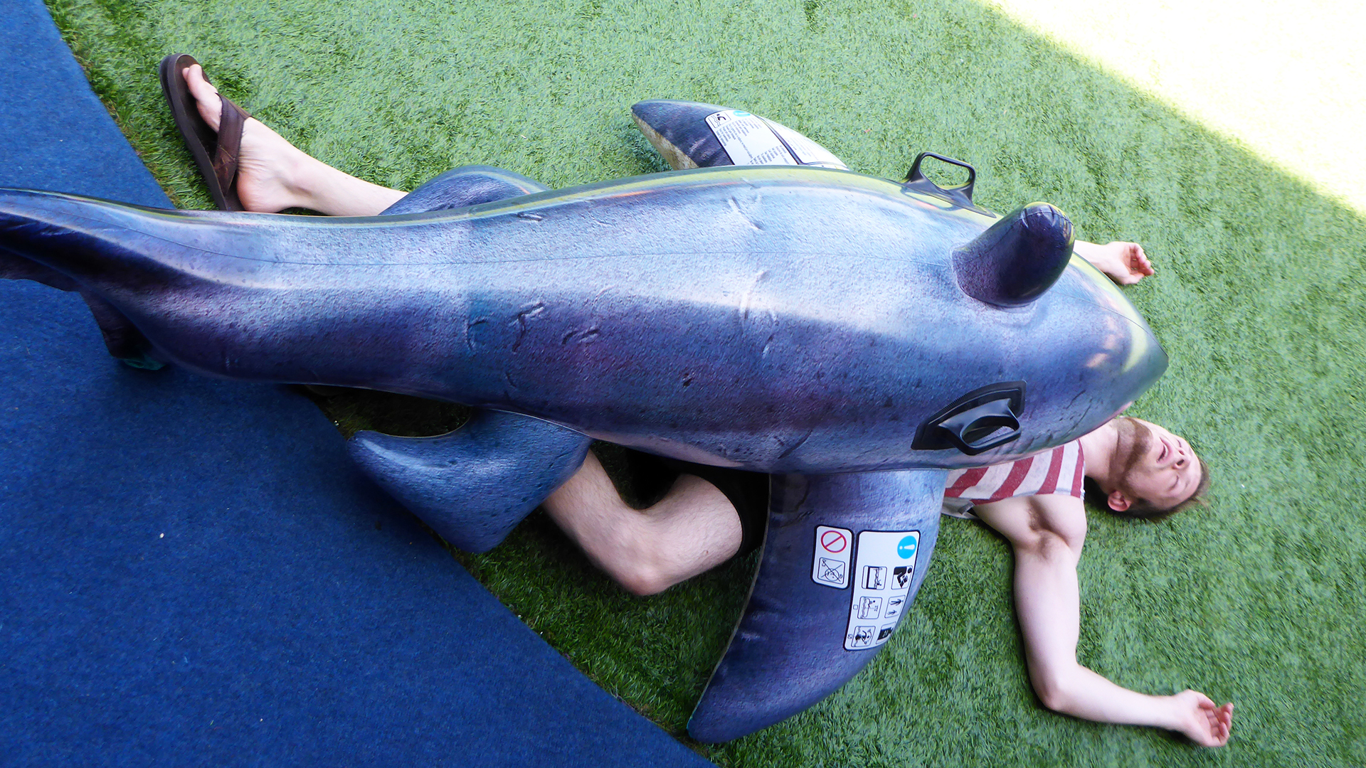 There is a massive and rabid fanbase.