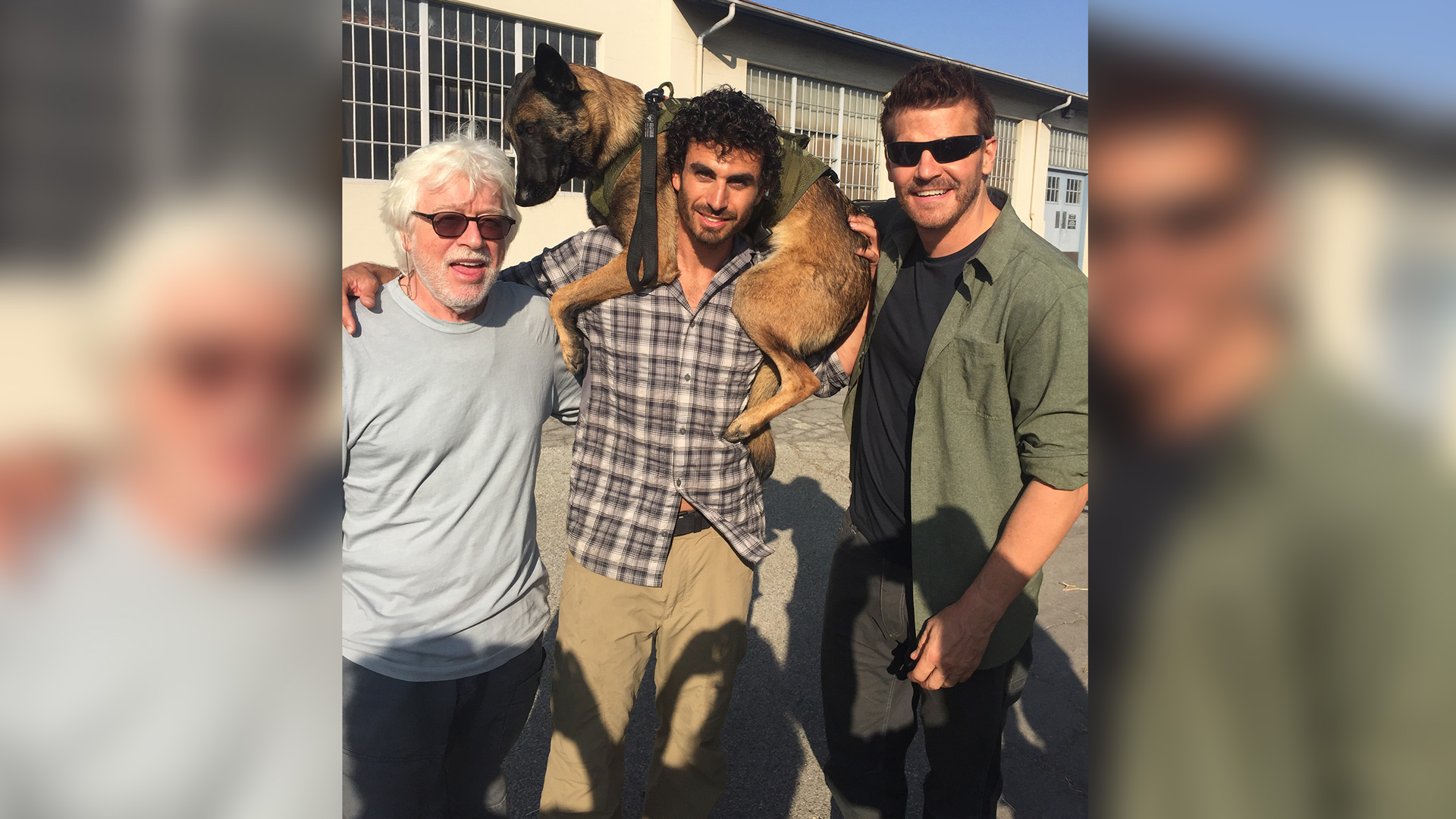 There's a whole lot of love for this combat dog