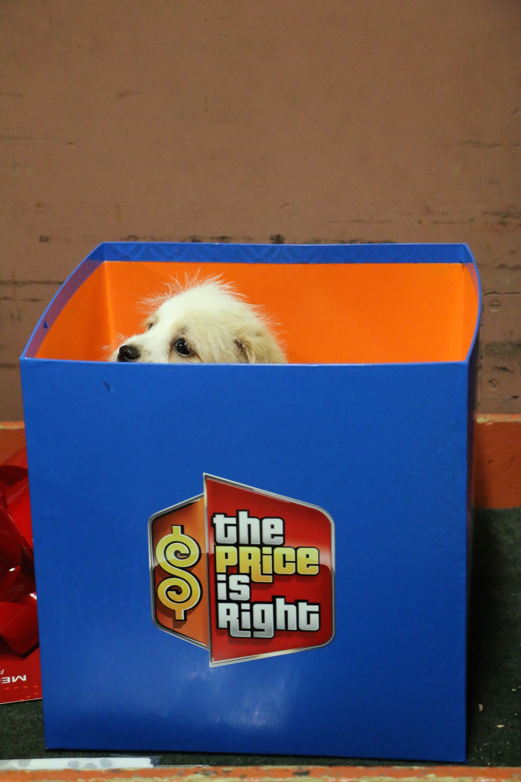 Who is in the box?!