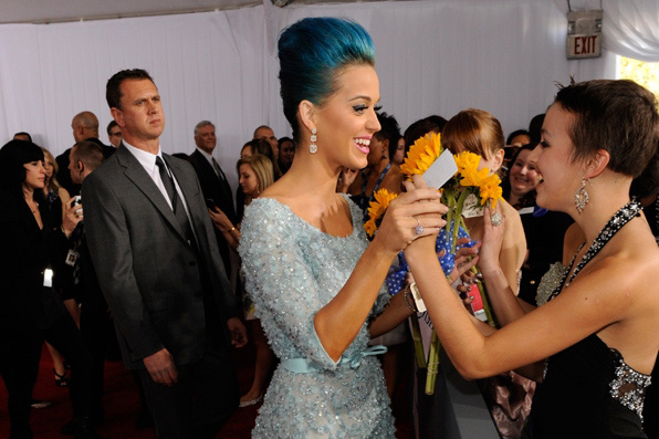 (2012) Katy's fan is stuck in a teenage dream.