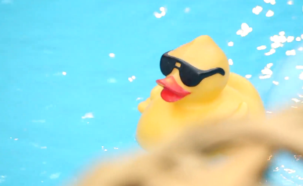 16. This rubber ducky is a permanent Houseguest