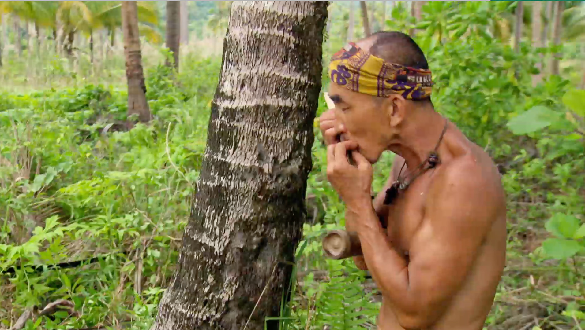 Castaways Fight Each Other For The First Ever Super Idol On Survivor Kaoh Rong Ep 3 Survivor Photos Cbs Com