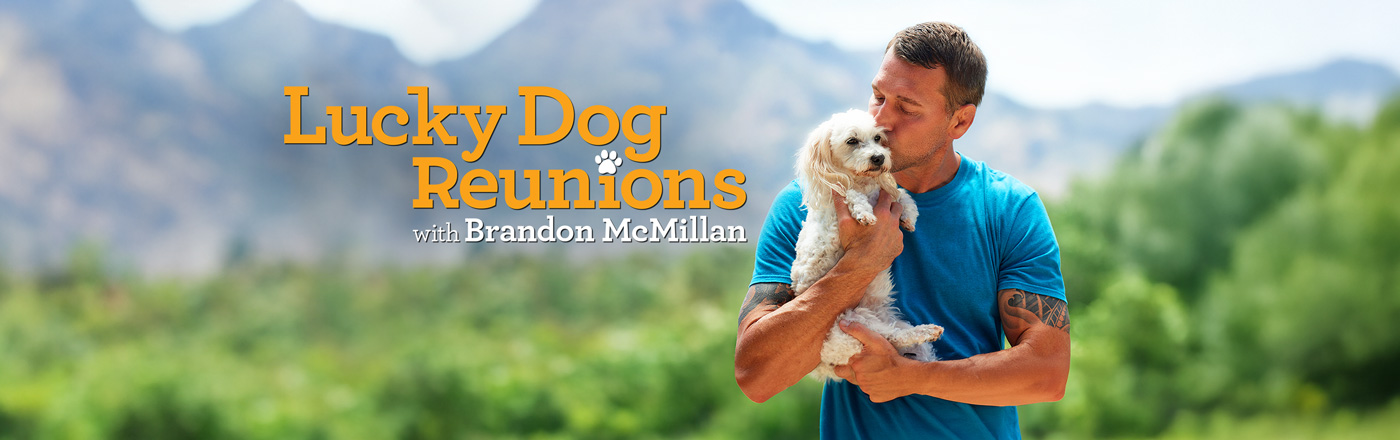 Lucky Dog: Reunions LOGO