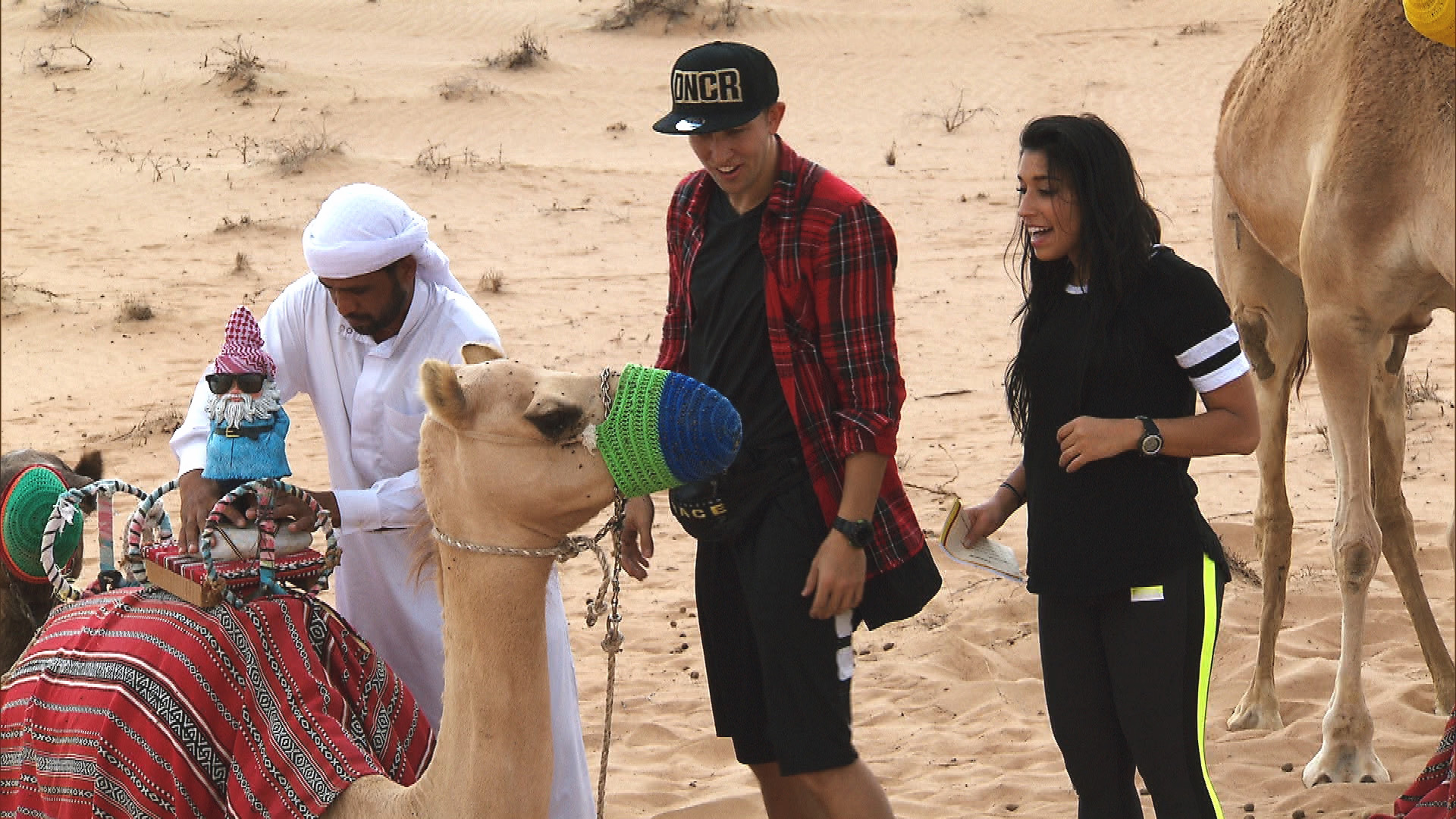 Matt and Dana work together to deliver a camel quartet for the next clue.