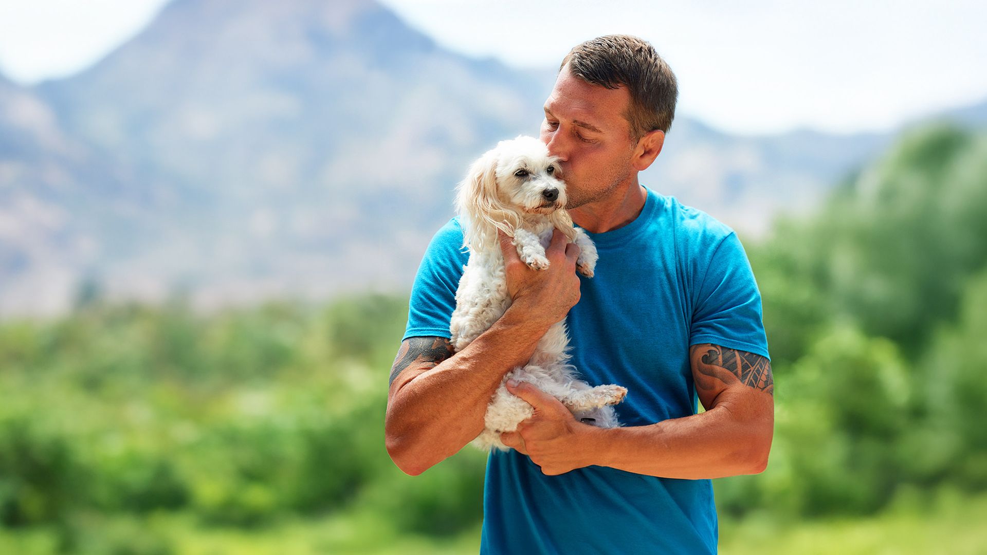 Lucky Dog: Reunions