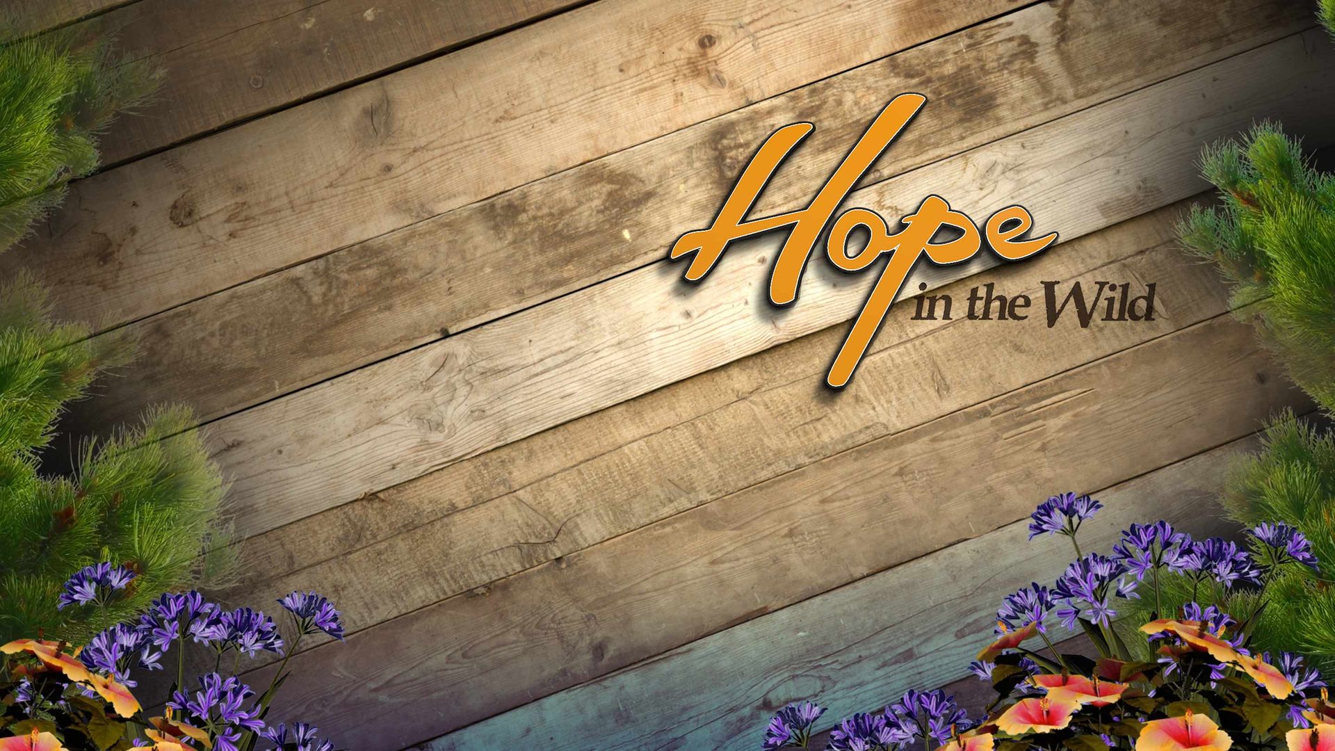 Hope in the Wild
