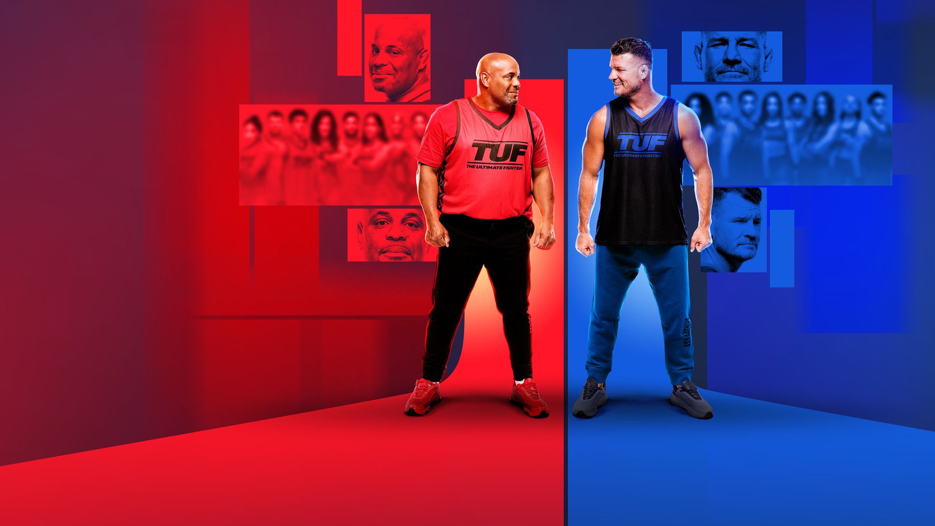 THE ULTIMATE FIGHTER