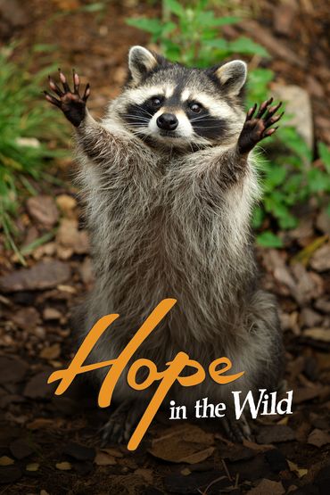 Hope in the Wild