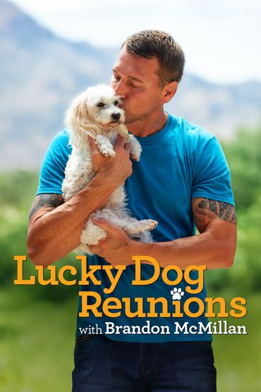 Lucky Dog: Reunions