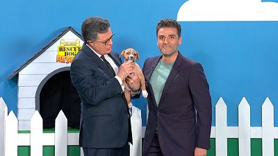 Oscar Isaac Joined Stephen Colbert To Tell Lies About These Lovable Puppies