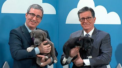 John Oliver Is Telling Lies About These Adorable Puppies