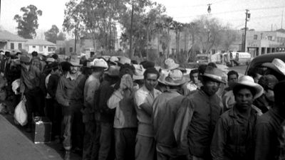 The Eisenhower-era blueprint of Trump's deportation plan