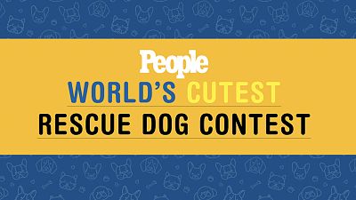 Click Here To Vote For The World’s Cutest Rescue Finalist