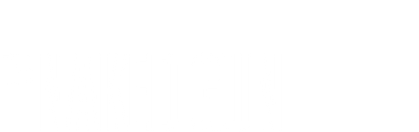 THE NAKED GUN 