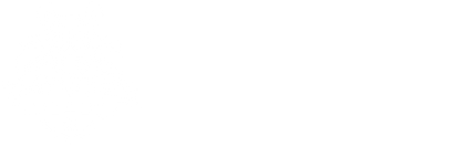 Tony the Tiger Sun Bowl  