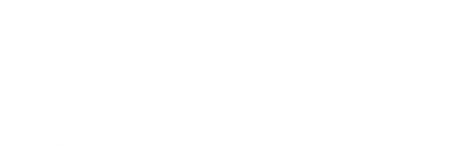 52nd American Music Awards 