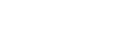WNBA 