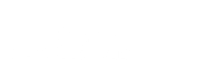 THE REAL WOLF OF WALL STREET 