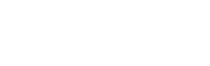 WNBA 