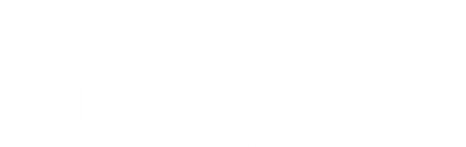 Survivor 