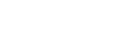 Survivor 