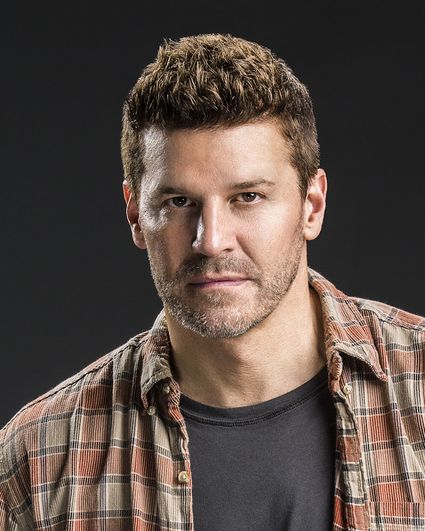 david boreanaz seal team cast member